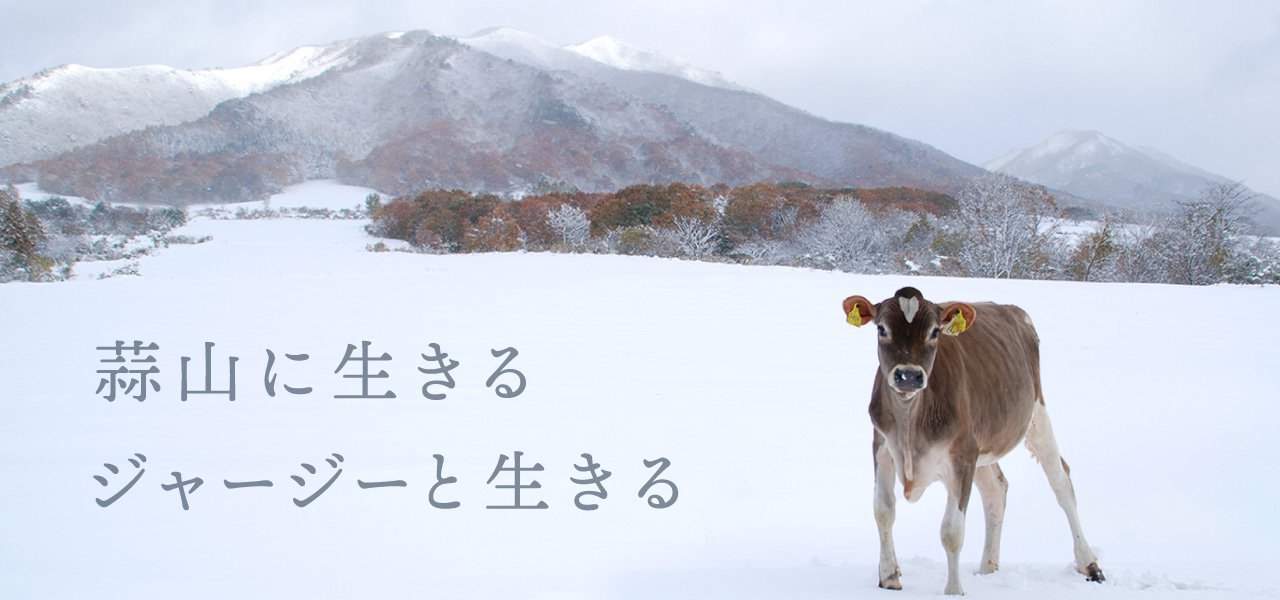 蒜山に生きる　ジャージーと生きる